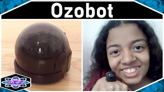 Golf Sized Robot You Can Code! | STEAM Robot Reviews | Ozobot: Bit