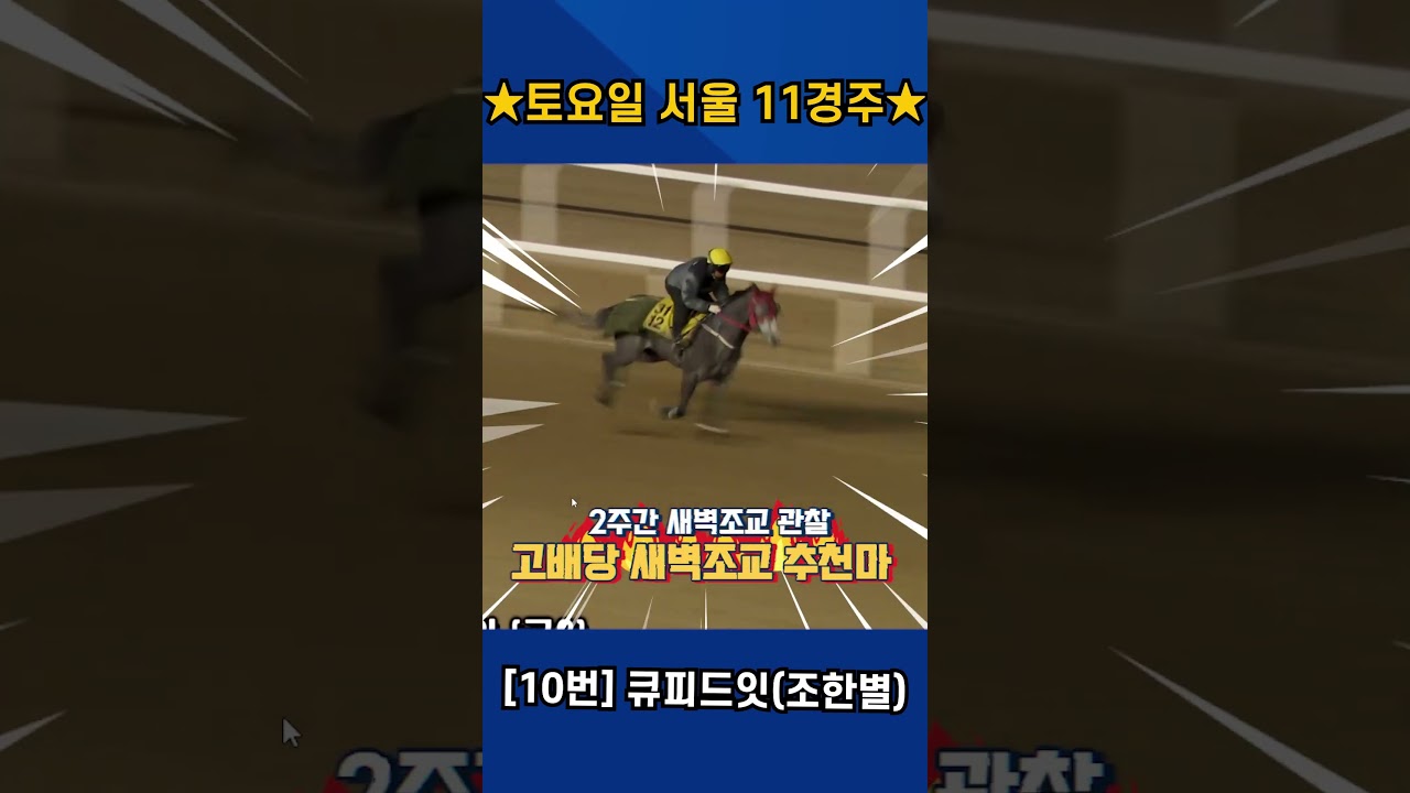 1월17일 토요일 서울 11경주!! 2주간 훈련변화 보인 강백호의 새벽조교 쏘스마!!#강백호경마 #shorts