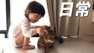 猫と娘の日常。まどろむ猫が可愛くて仕方がない1歳娘