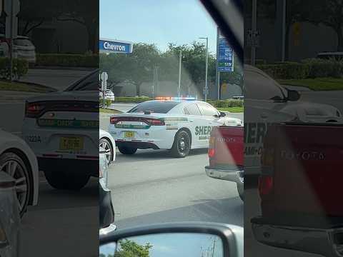 Miami Dade Sheriff Charger #police #cops #sherrif #miami #florida #car #cars #reels #random #cool