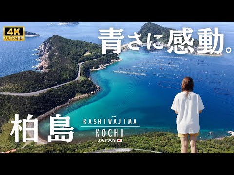 [Kashiwajima] Impressed by shining blue sea! A Scenic Journey around Southwestern tip of Kochi.