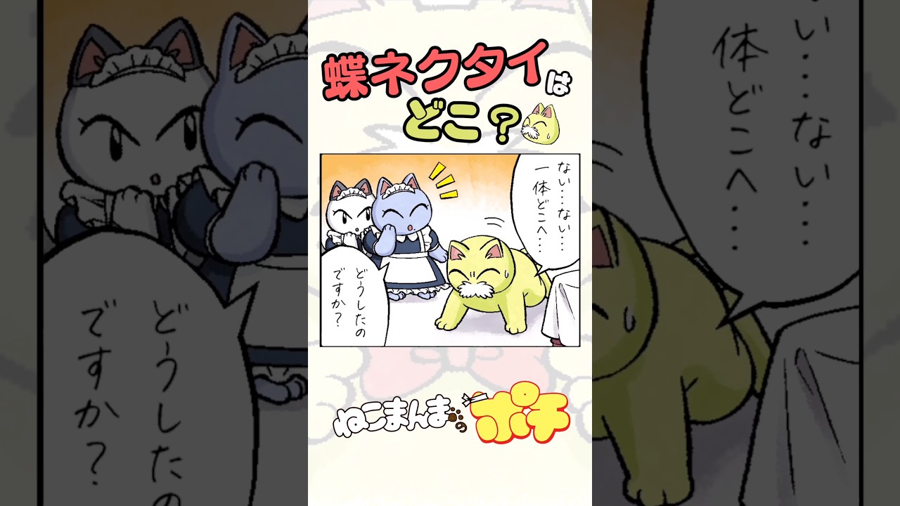 蝶ネクタイはどこ？【ねこまんまのポチ】 #ねこまんまのポチ #猫 #漫画 #アニマンガ
