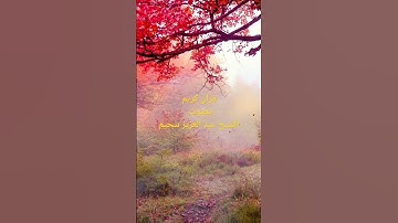قران كريم للشيخ عبد العزيز سحيم من الجزائر