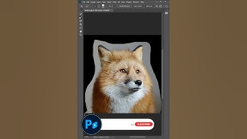 How to Remove Background in Photoshop | Photoshop Tutorial