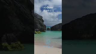 Download Lagu Do not Think They are Dead | Ali 'Imran 169-172 | Voice of Quran MP3 Download Lagu Do not Think They are Dead | Ali 'Imran 169-172 | Voice of Quran MP3