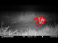 The BIG camera trap SURPRISE!!!