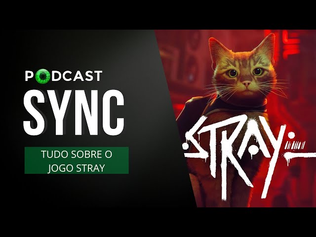 Conheça os gatos da vida real nos bastidores do jogo Stray