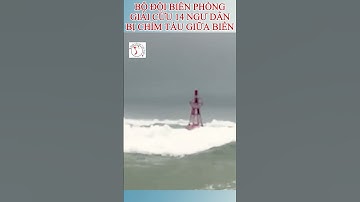Giải cứu 14 ngư dân bị chìm tàu, chới với giữa biển trong sóng lớn