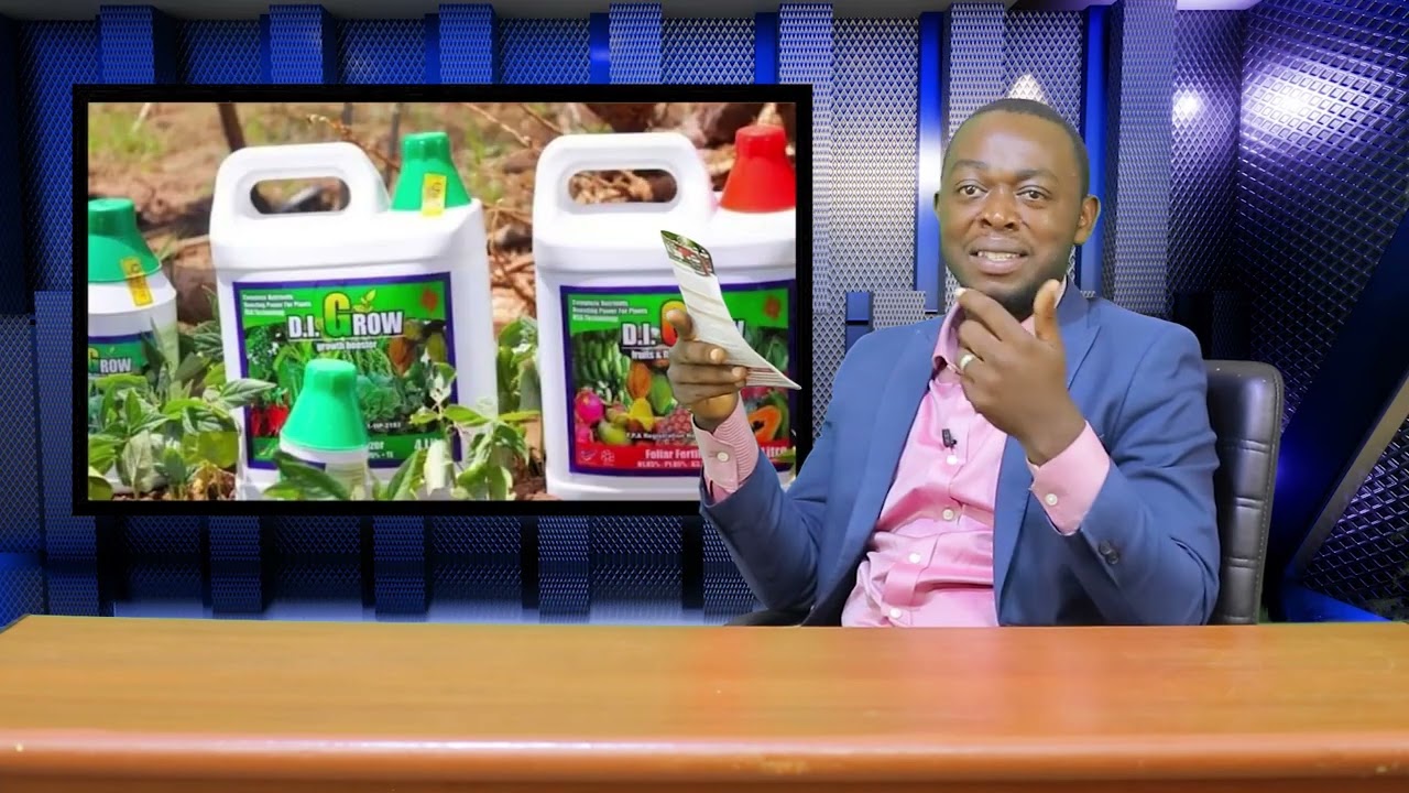 UBUHINZI BUGEZWEHO BUSHOBORA GUTANGA AKAZI KU BASHOMERI - IKIGANIRO NA SAMUEL WUMVAGA BIDASHOBOKA