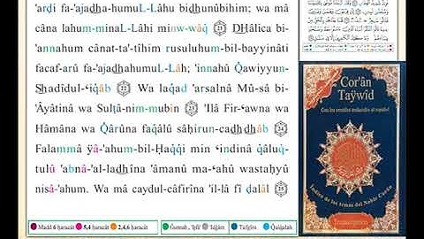 ختمة من مصحف التجويد باللغة الإسبانية الصفحة رقم 469