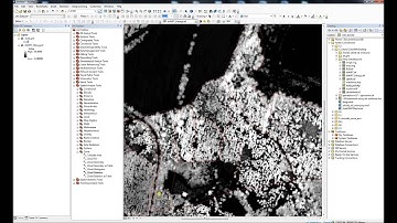 Zonal Statistics ArcMap