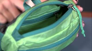 Patagonia Lightweight Travel Mini Hip Pack