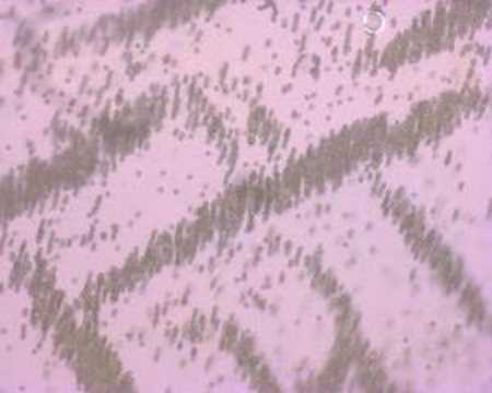 Strange Electrokinetic Effects with Polystyrene