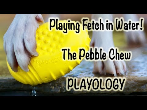 playology pebble chew
