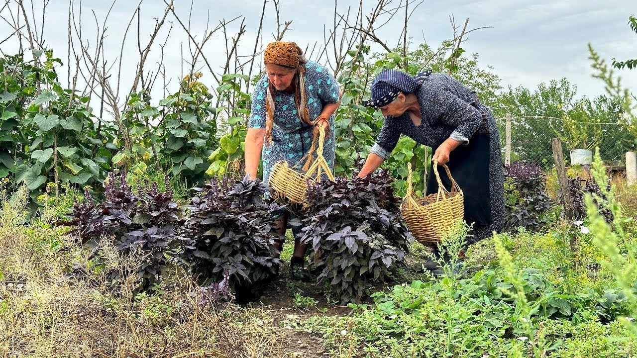 Wild Ingredient Foraging: Recipes from Nature's Pantry