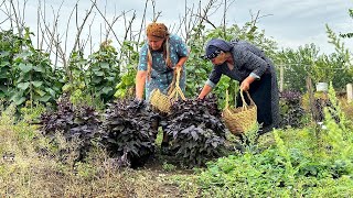 : Wild Ingredient Foraging: Recipes from Nature's Pantry