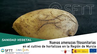 Nuevas amenazas fitosanitarias en el cultivo de hortalizas