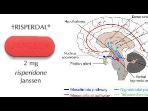 Video: Hvad gør risperidon ved din hjerne?