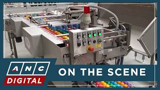 Celebrity How Easter eggs get their color: A look inside a German factory that makes it happen | ANC Profile