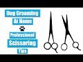 Dog Grooming At Home | Professional Scissor Tips