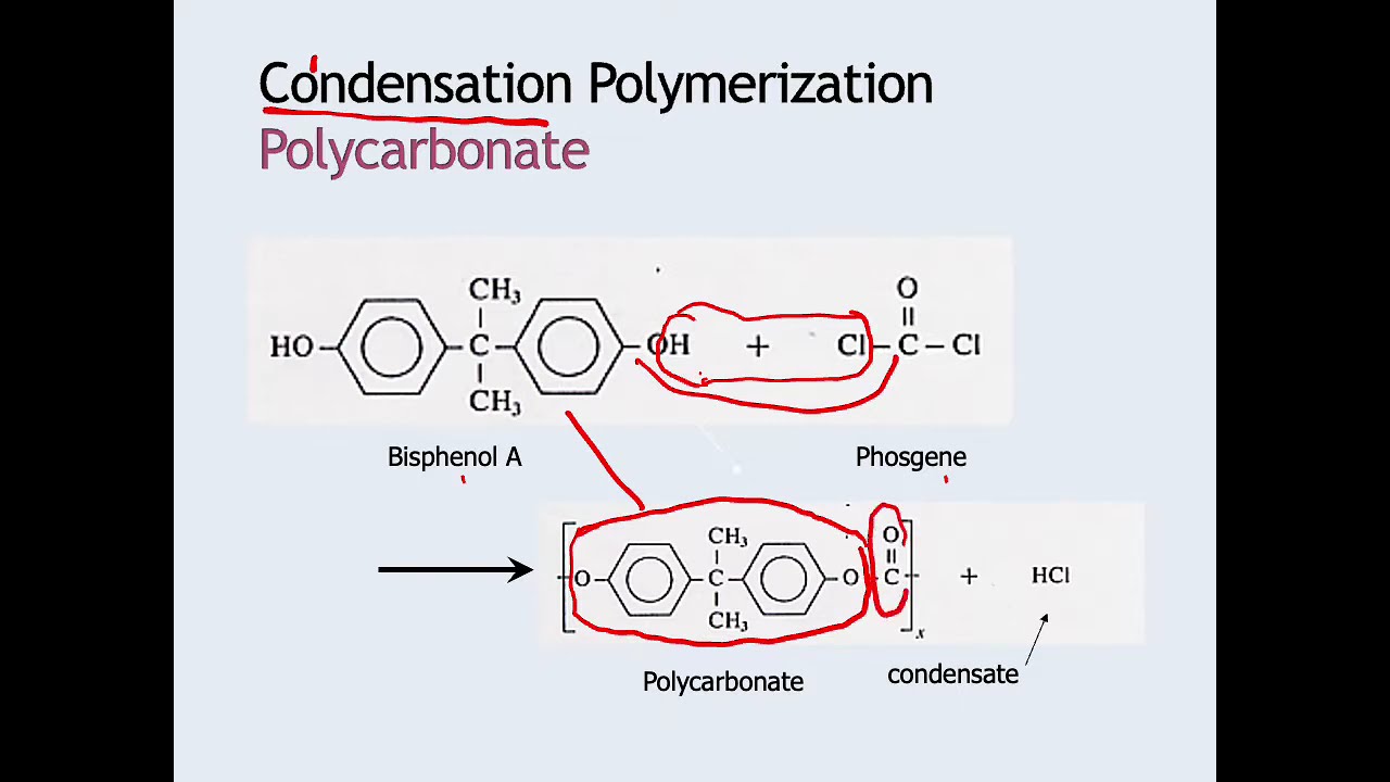 P1 Polymers part 1
