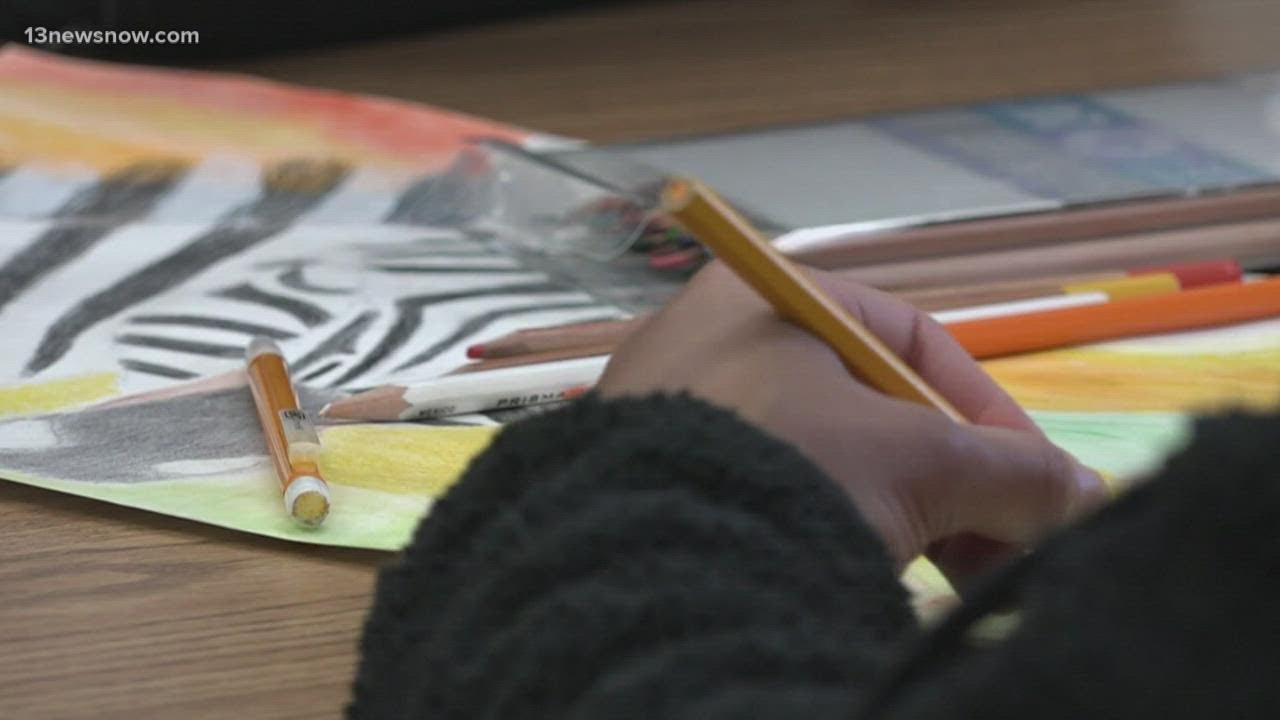 Candidate Profile: Virginia Beach School Board part 1