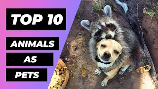 Top 10 Animals People Have As Pets | 1 Minute Animals