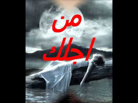 وفاء الحسينى دكتور