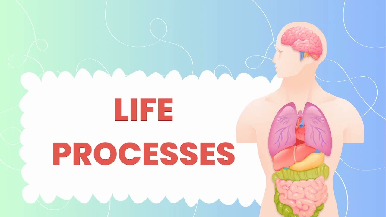 OAVS TGT Science 2024 || Life processes || Nutrition || Types of Nutrition ||