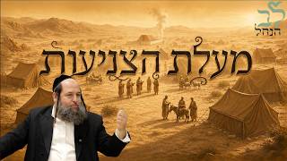 הרב אודי קוטיגרו :פרשת בלק - אנחנו בני מלכים!! | מעלת הצניעות