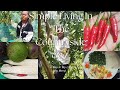 Simple Living in the Countryside | Peaceful Village Life, Nature & Daily Routine