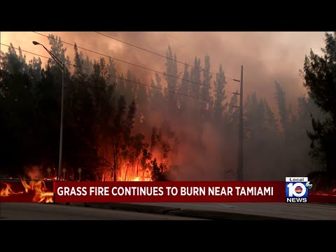 Grass fire continues to burn in west Miami-Dade