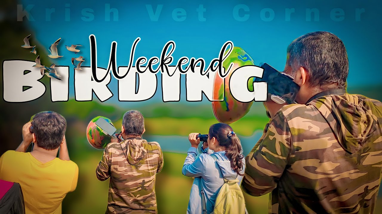 Weekend Birding With Sreekumar Sir || Krish Vet Corner|| Madras Veterinary College Diaries