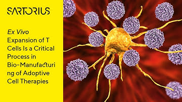 Webinar (Preview): T Cell Biology Using Advanced Flow Cytometry