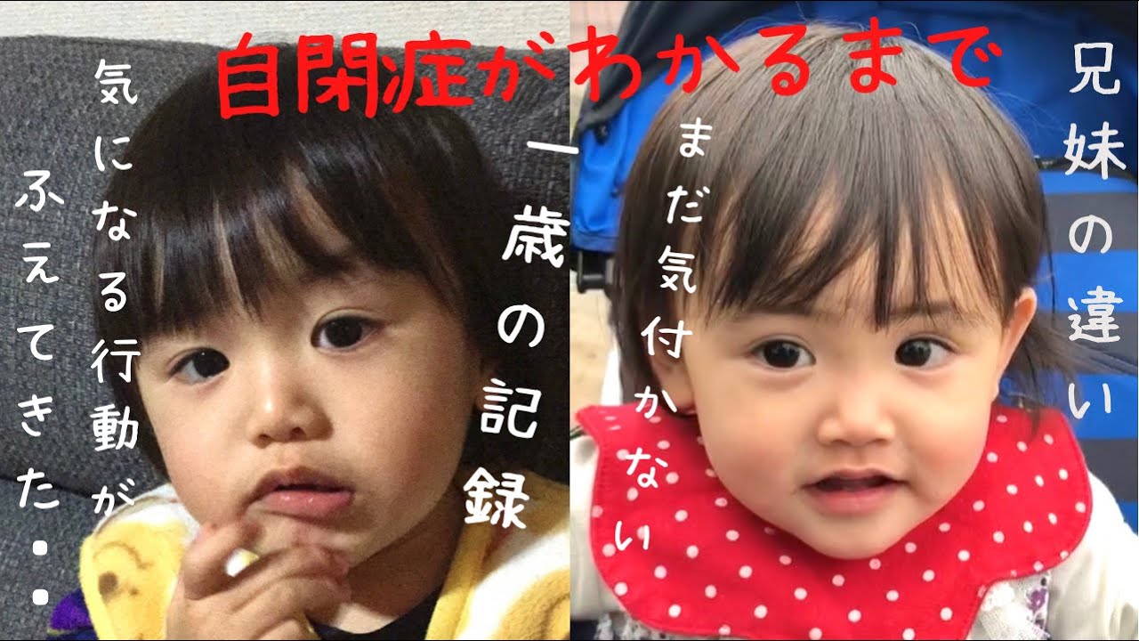 【自閉症がわかるまで】1歳半健診で引っかかっても自閉症とは思ってなかった1歳の記録・定型発達の妹との成長の違い