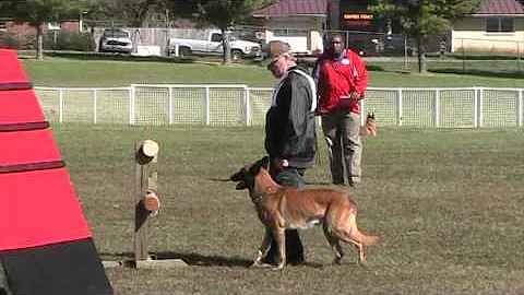 Morris Chaisson AWMA2015 Obedience | In Control Do...