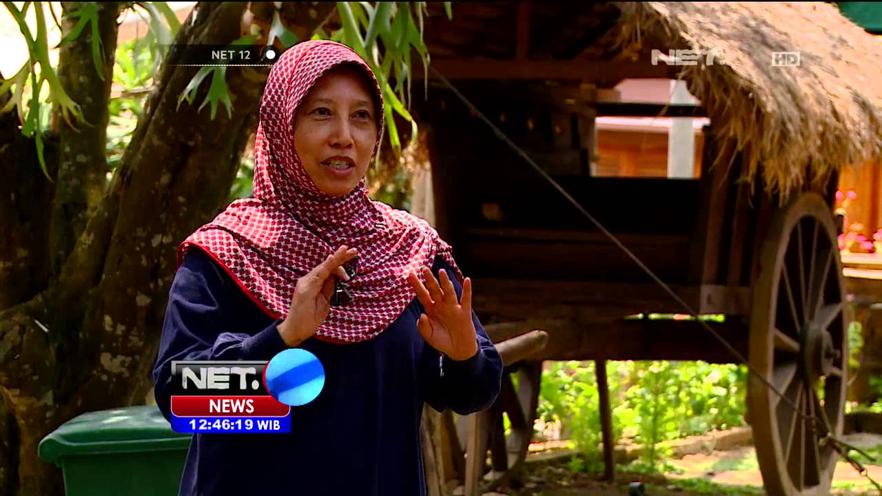 Kampung Jawi Di Jombang, Jawa Timur - NET12 