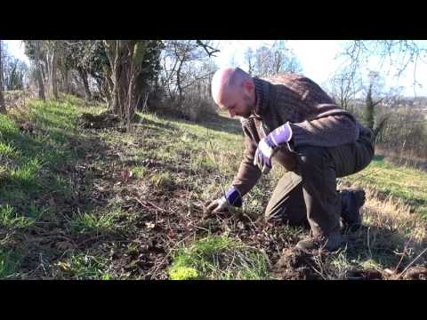 Réserve naturelle le thier à la tombe. Natagora