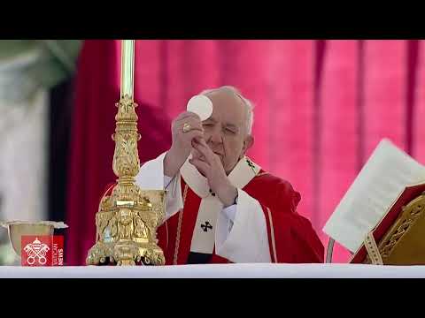 El Papa celebra el Domingo de Ramos en San Pedro