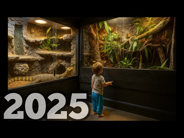 REPTILE ROOM TOUR 2025 Highlights & DIY Enclosures - YouTube