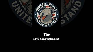 The 5th Amendment