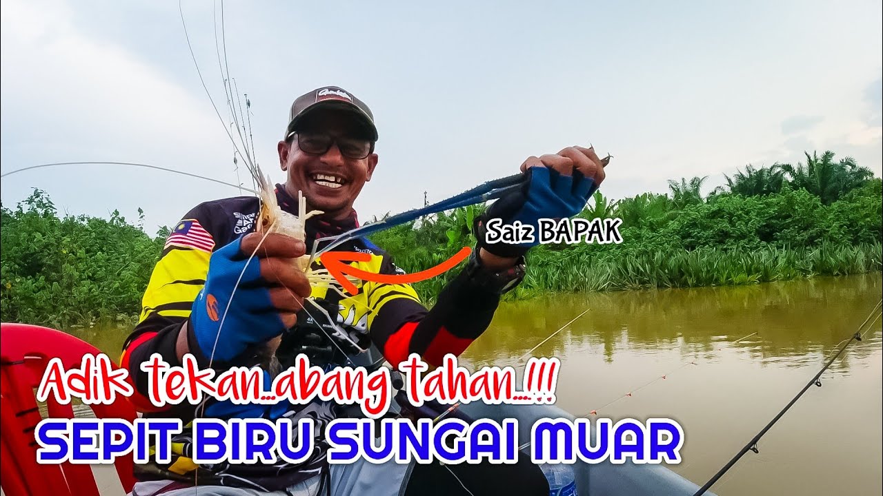 MANCING UDANG GALAH BUKIT GAMBIR - MUAR JOHOR //LUBUK PADU  // 💯 % SAIZ BAPAK // KEPALA MASUK AIR