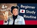 My 4 hour daily japanese study routine for beginners  how i learn japanese