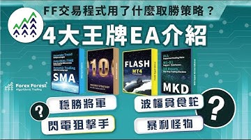 #程式交易 4大賺錢策略教學，量化交易程式策略介紹，forexforest mt4 EA公開