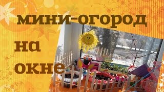 МИНИ-ОГОРОД НА ОКНЕ❀