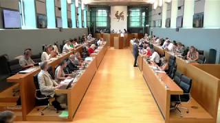 DREZE (cdH) - Taxe carbone - Parlement de Wallonie - 4 juillet 2018