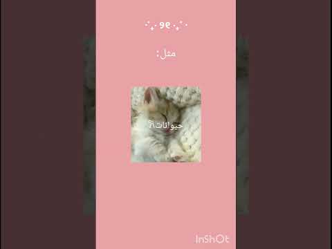 عندي لكم سوال كنت بساله بالمنتدىبس التفاعل فيه ميت فجيت هنا عندكم هوايات او مواهب بكمل كلام بالوصف