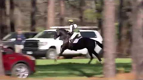 JTH Zest Carolina International CCI3*S winning cro...