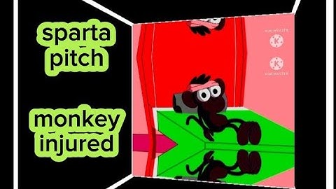 Sparta pitch monkey injured with different colors and different video effects 