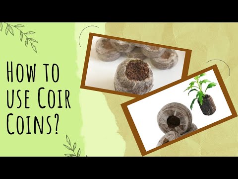 Vidéo: Coconut Pellet Seed Start - Comment utiliser les disques de coco pour la plantation de graines